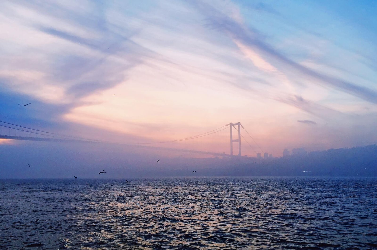 Bridge5
